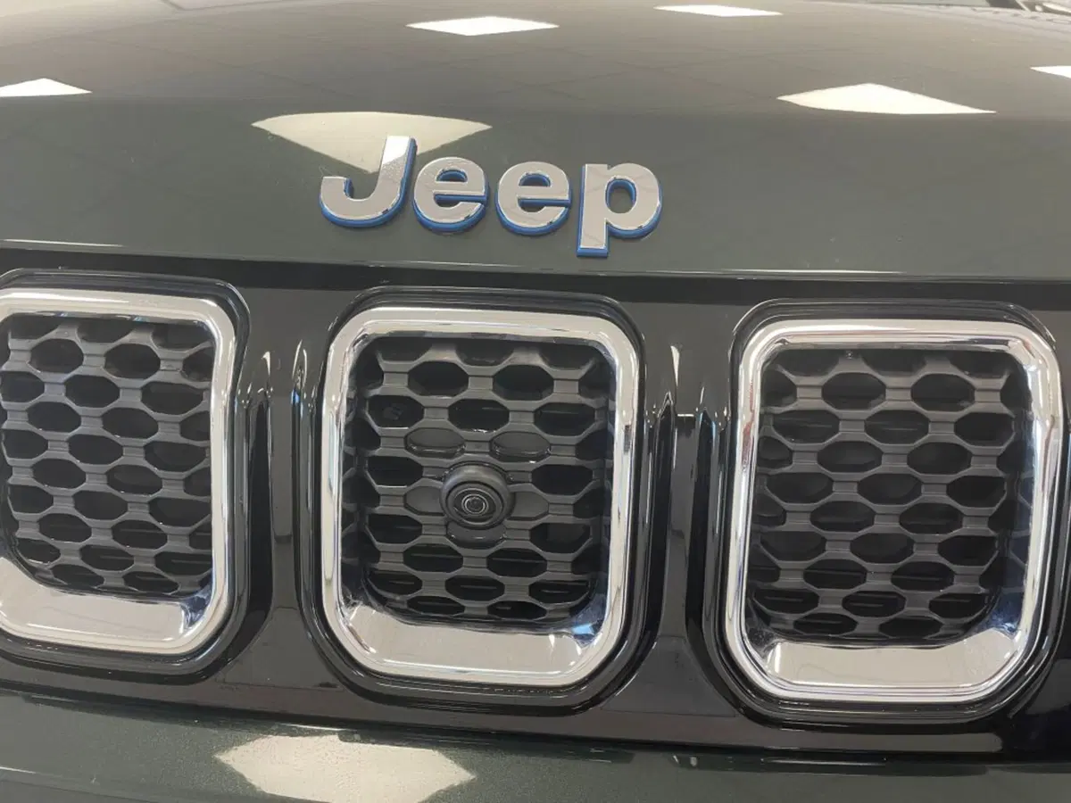 Jeep Compass usata a Palermo (20)