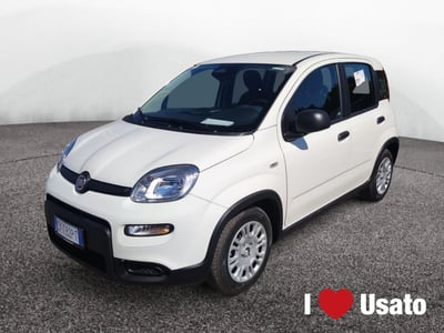 Fiat Panda 1.0 firefly hybrid s&amp;s 70cv 5p.ti nuova a Roma