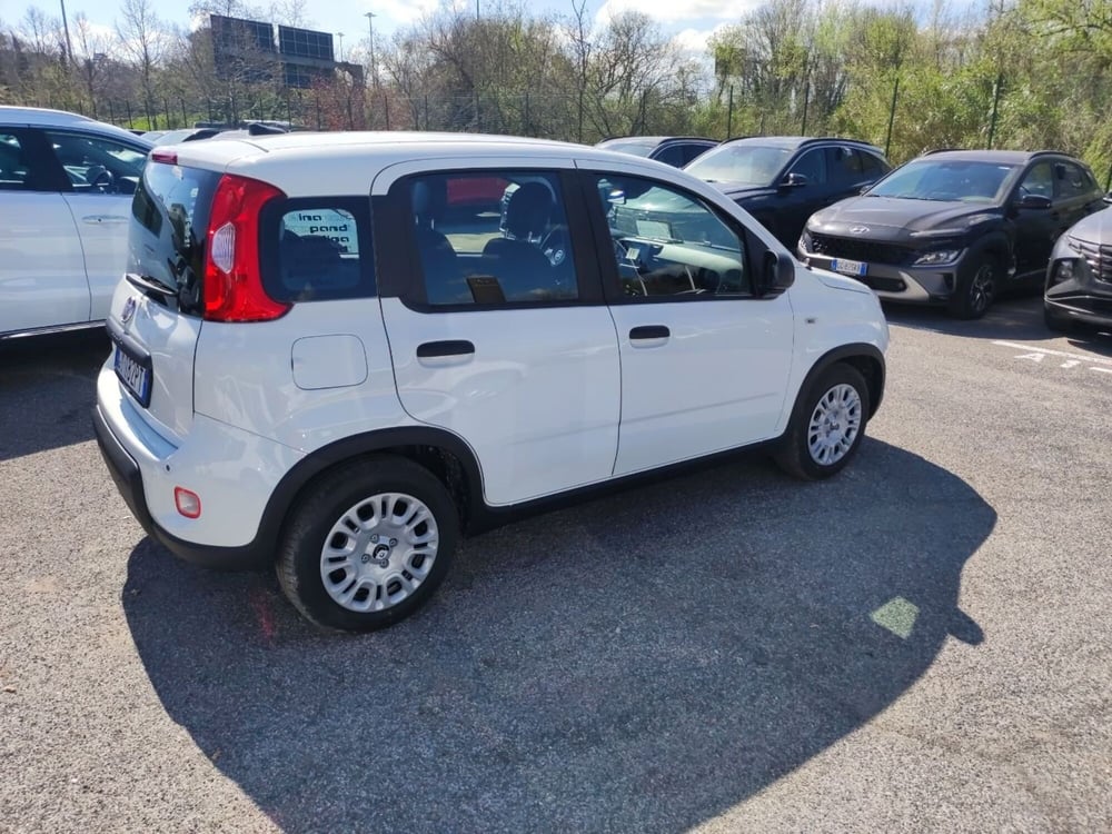 Fiat Panda nuova a Roma (6)