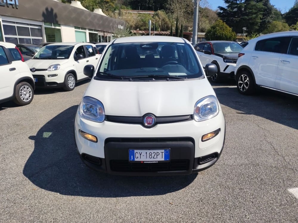 Fiat Panda nuova a Roma (7)