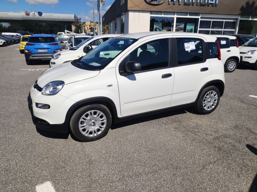 Fiat Panda nuova a Roma (8)
