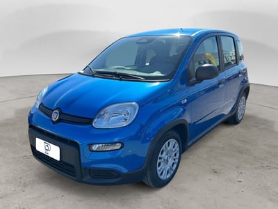 Fiat Panda Cross Cross 1.0 FireFly S&amp;S Hybrid nuova a Settala