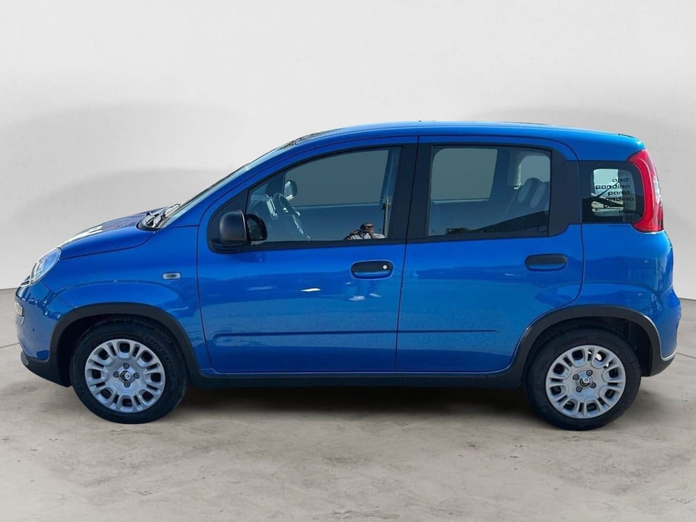 Fiat Panda Cross nuova a Milano (2)