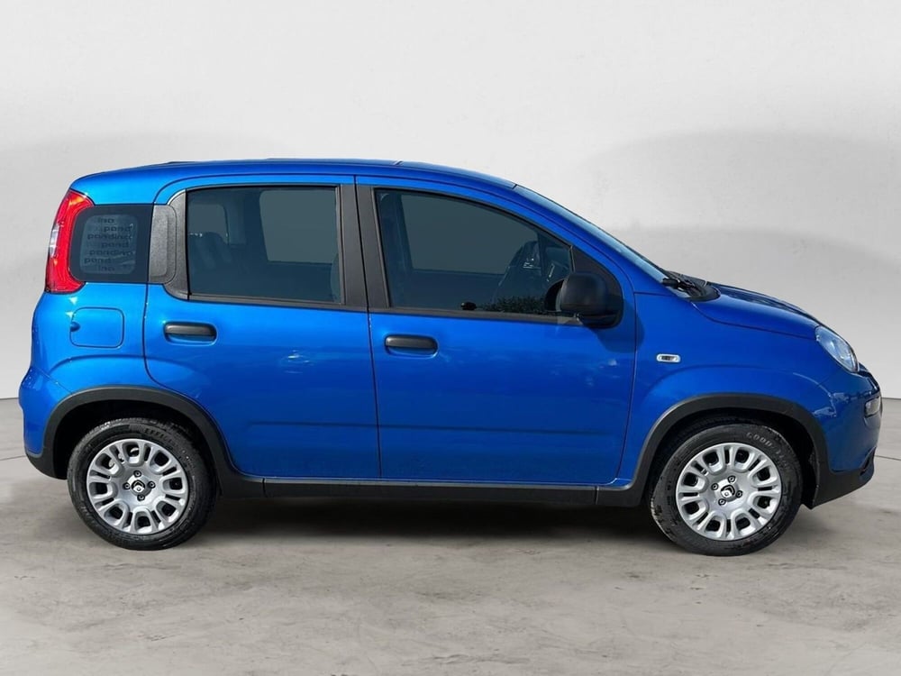 Fiat Panda Cross nuova a Milano (6)