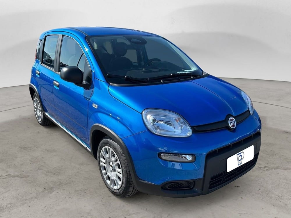 Fiat Panda Cross nuova a Milano (7)