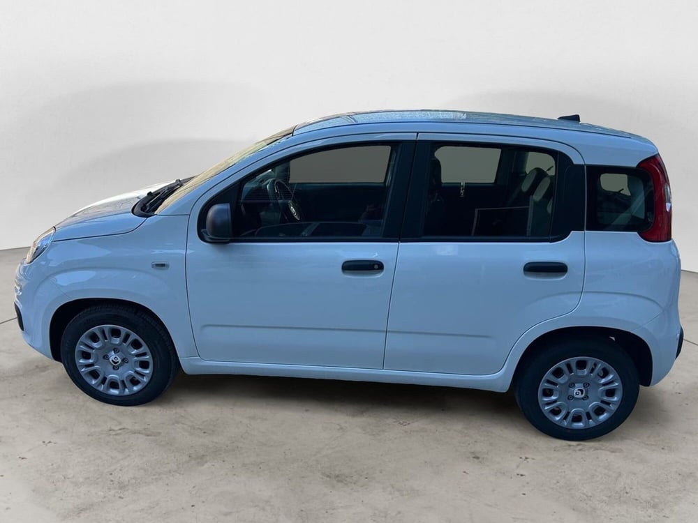 Fiat Panda Cross nuova a Milano (2)