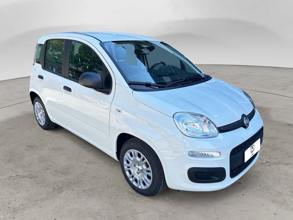 Fiat Panda Cross nuova a Milano (6)
