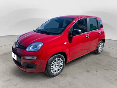 Fiat Panda Cross Cross 1.0 FireFly S&amp;S Hybrid nuova a Settala