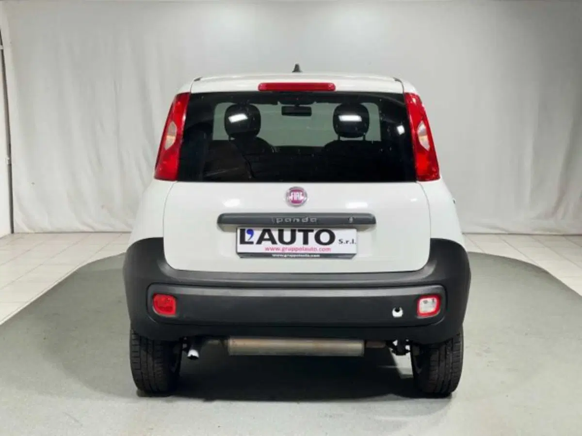 Fiat Panda usata a Sondrio (4)