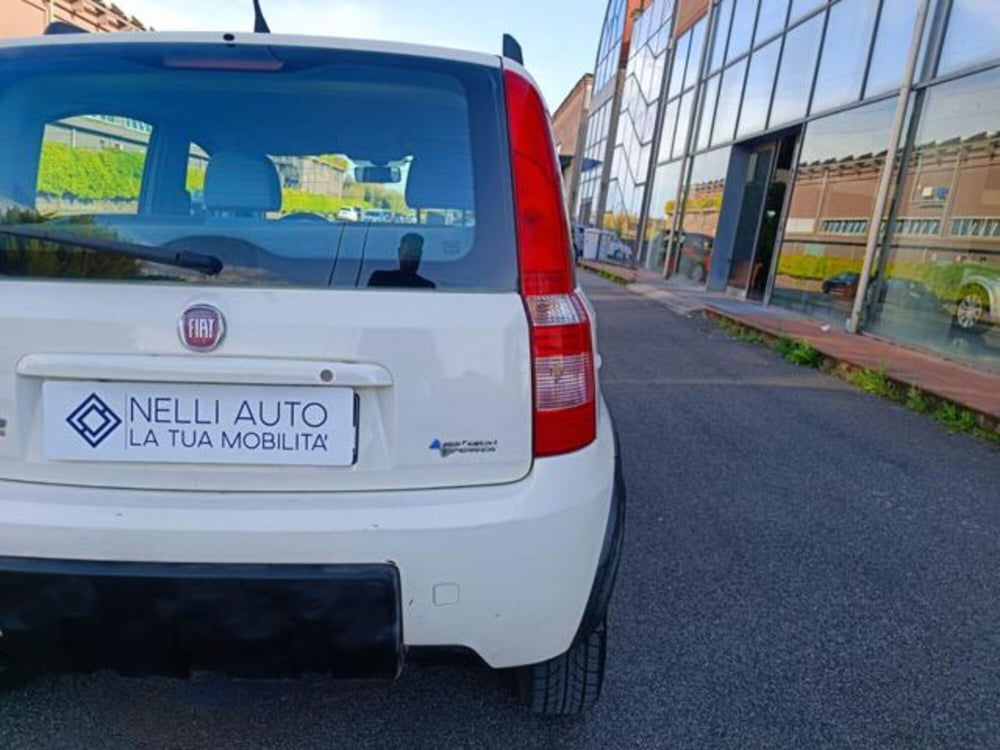 Fiat Panda usata a Pisa (18)