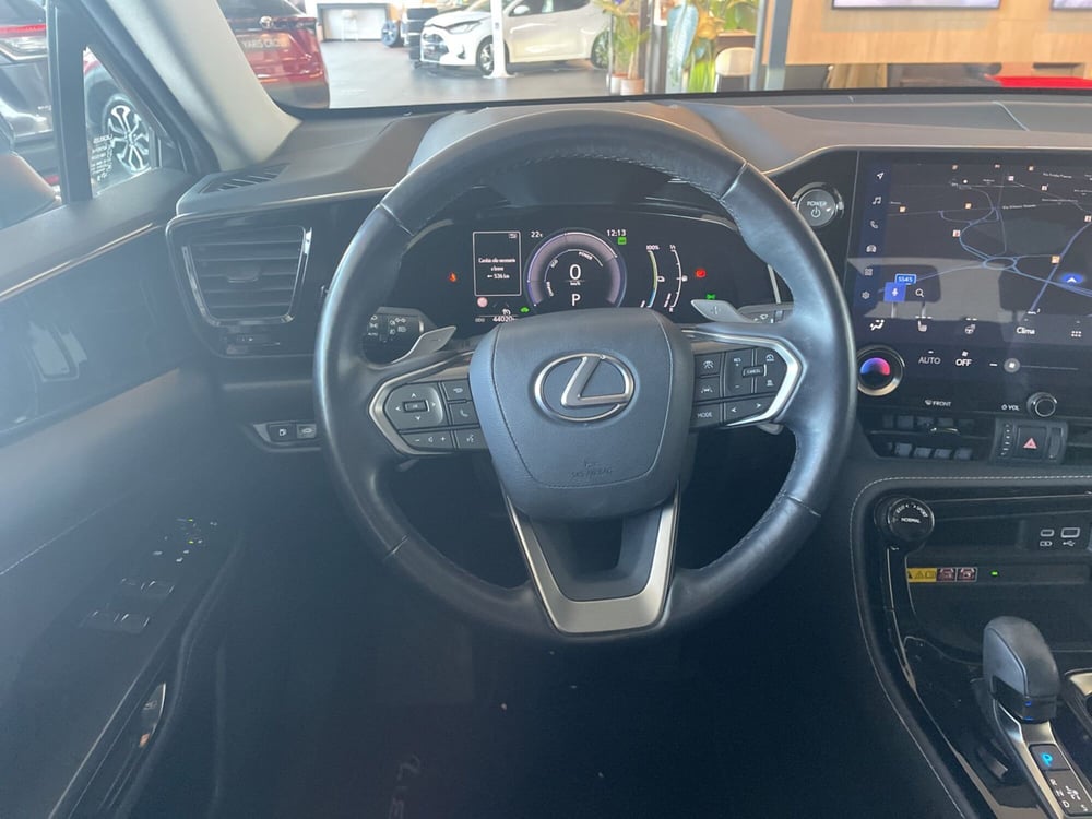 Lexus NX usata a Piacenza (12)