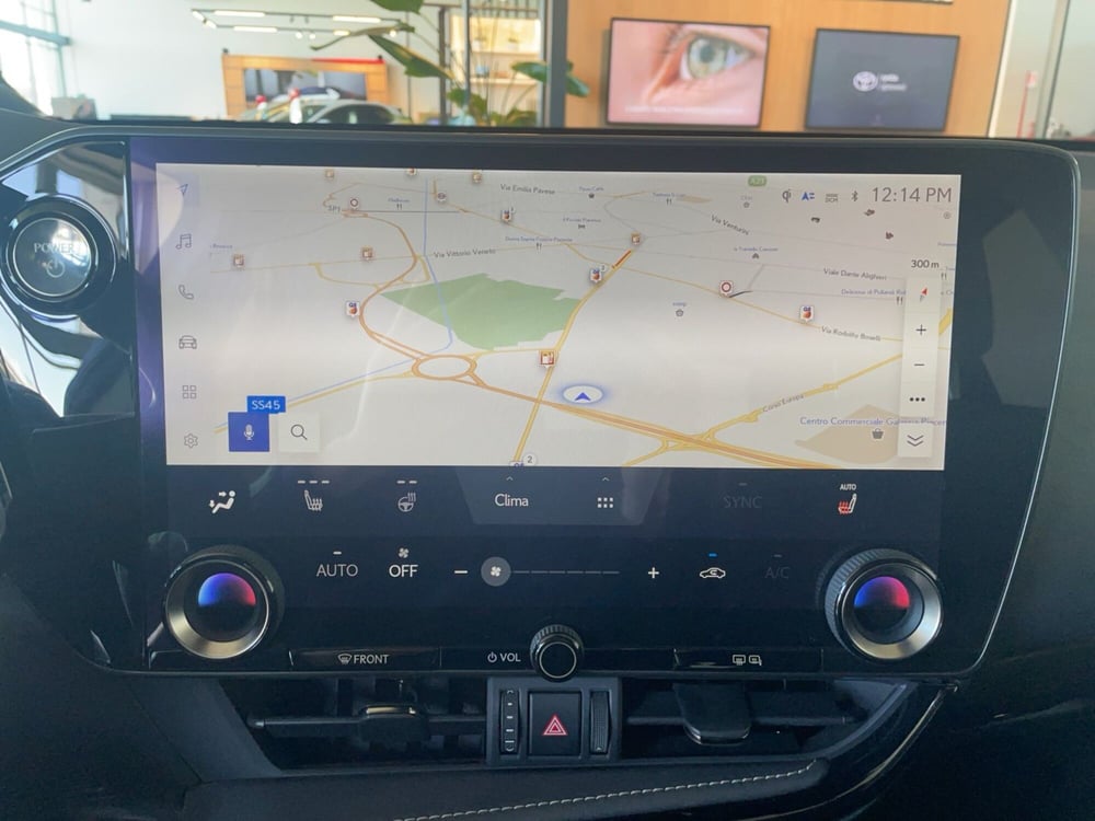 Lexus NX usata a Piacenza (15)