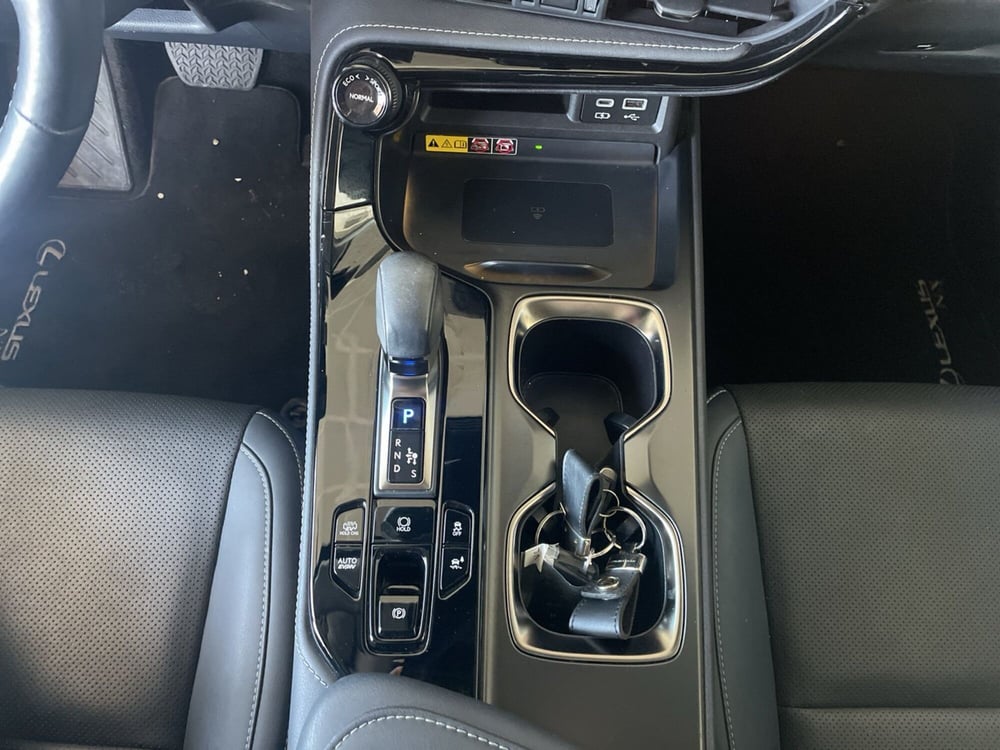 Lexus NX usata a Piacenza (16)
