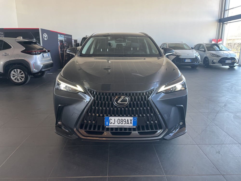Lexus NX usata a Piacenza (2)