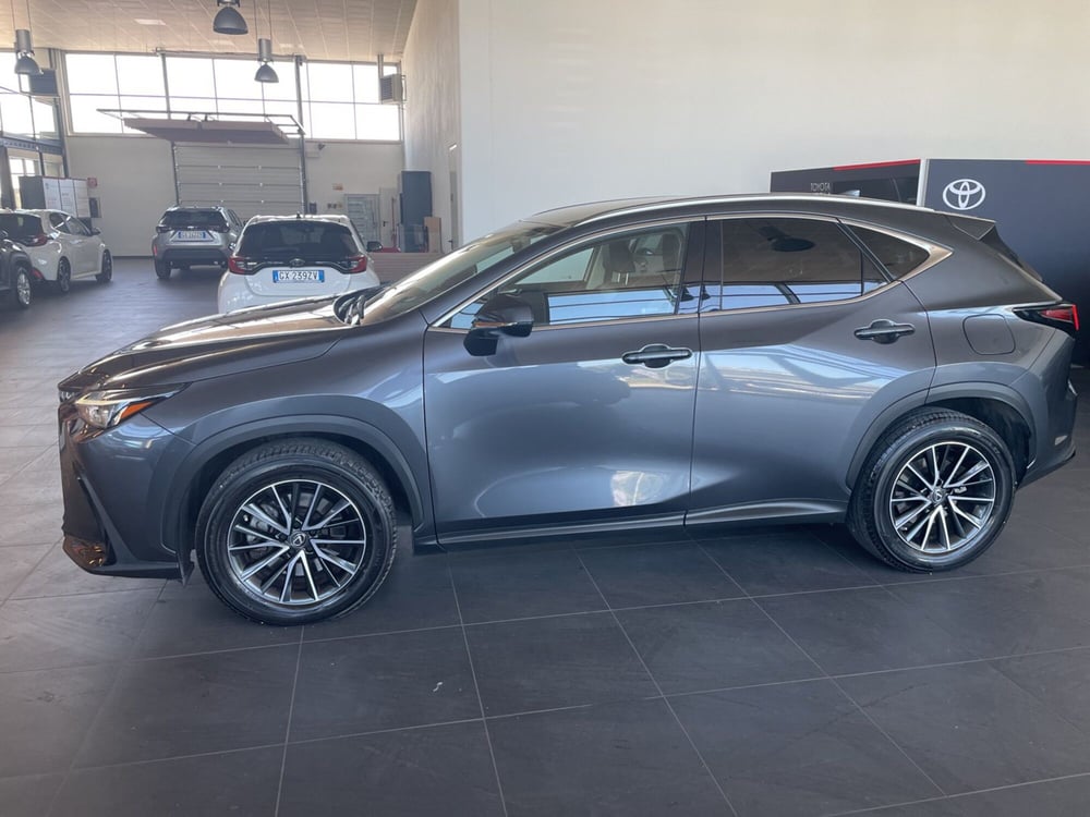 Lexus NX usata a Piacenza (3)
