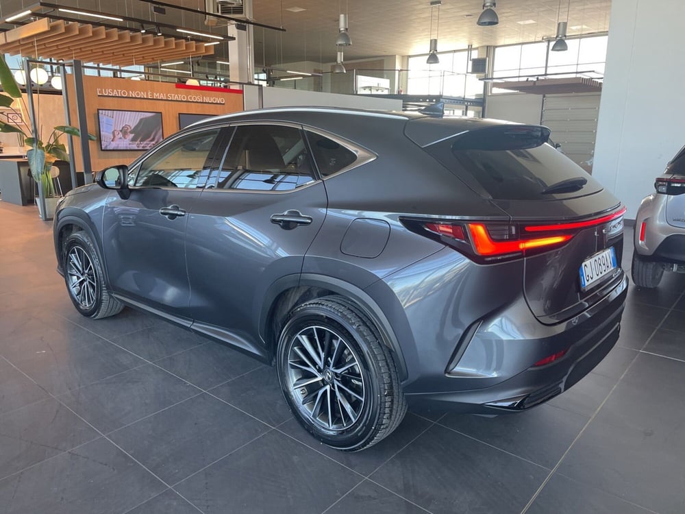 Lexus NX usata a Piacenza (4)