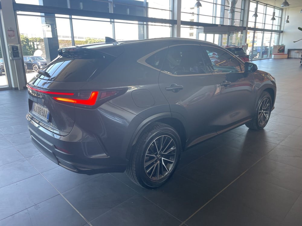 Lexus NX usata a Piacenza (6)