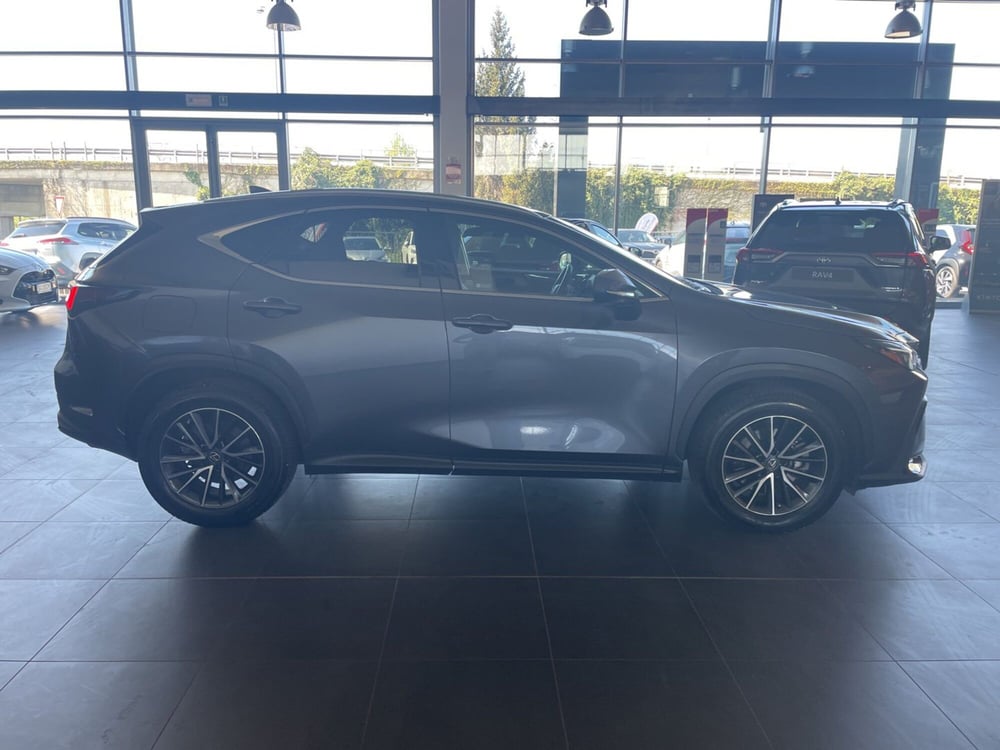 Lexus NX usata a Piacenza (7)