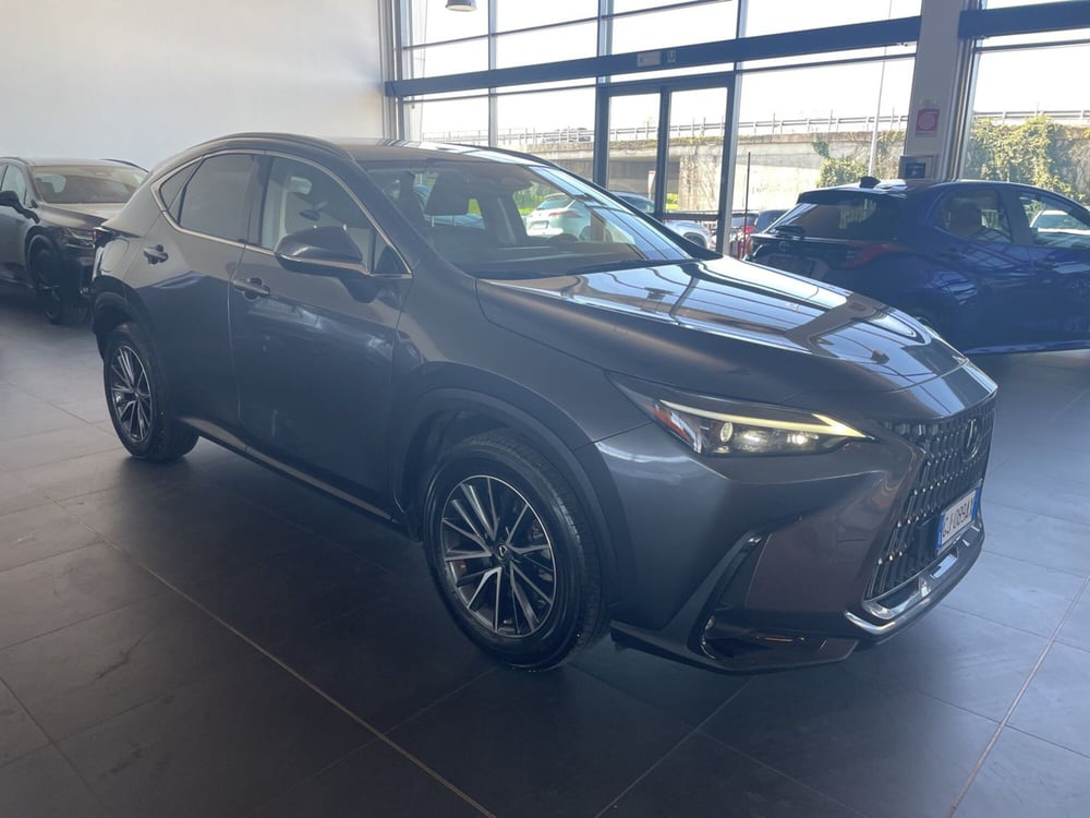 Lexus NX usata a Piacenza (8)