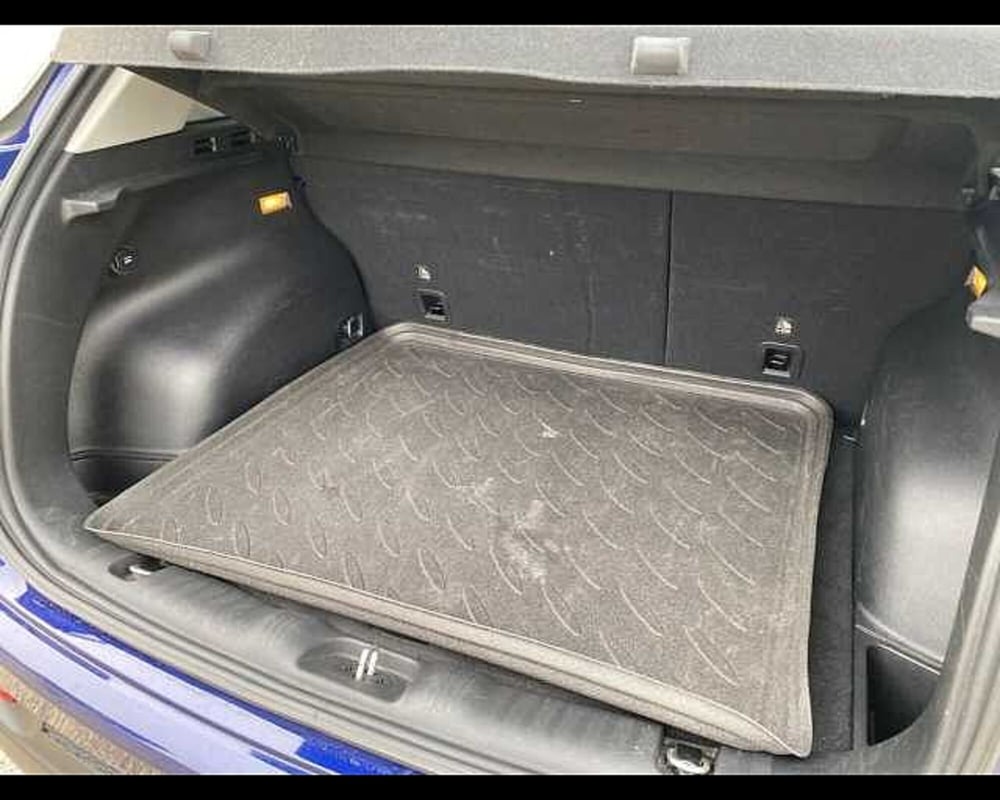 Jeep Compass usata a Potenza (15)