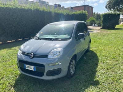 Fiat Panda Cross Cross 1.0 FireFly S&amp;S Hybrid del 2022 usata a Fisciano