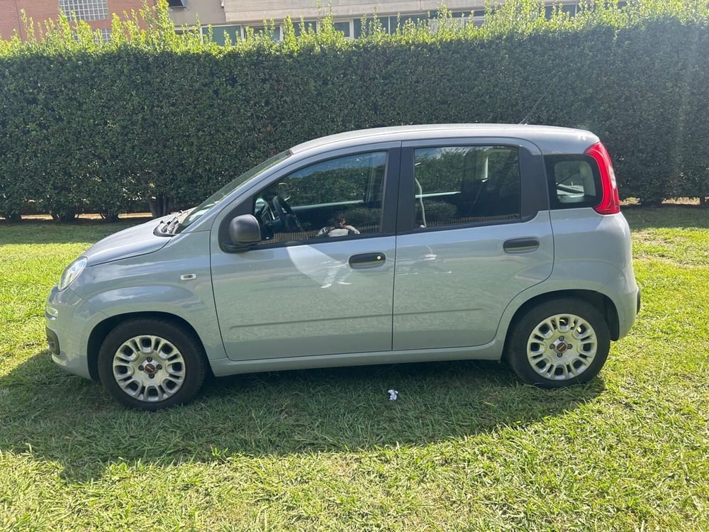 Fiat Panda Cross usata a Salerno (10)