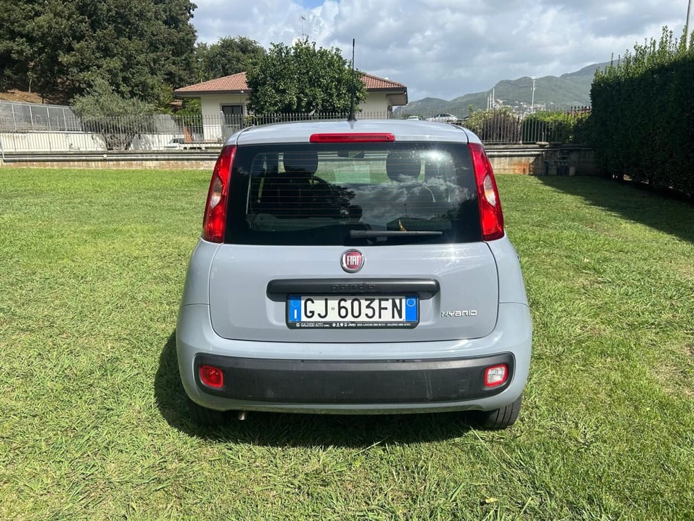 Fiat Panda Cross usata a Salerno (11)