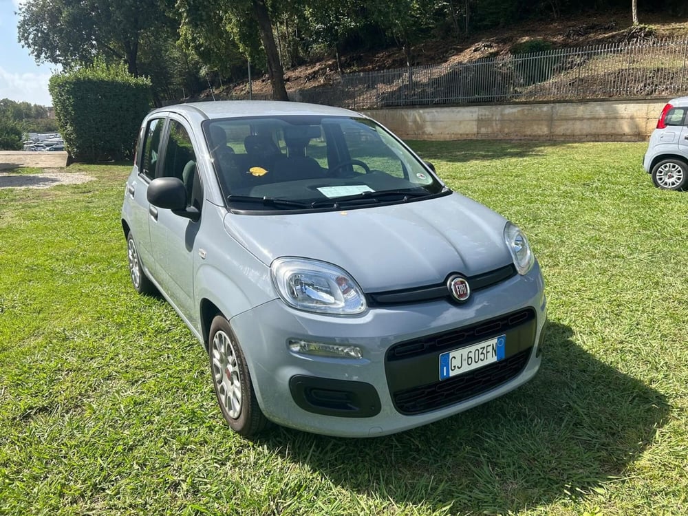 Fiat Panda Cross usata a Salerno (2)