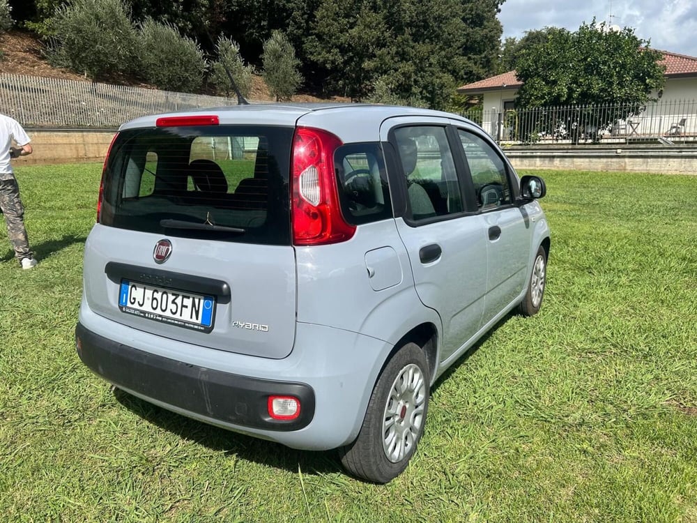 Fiat Panda Cross usata a Salerno (3)