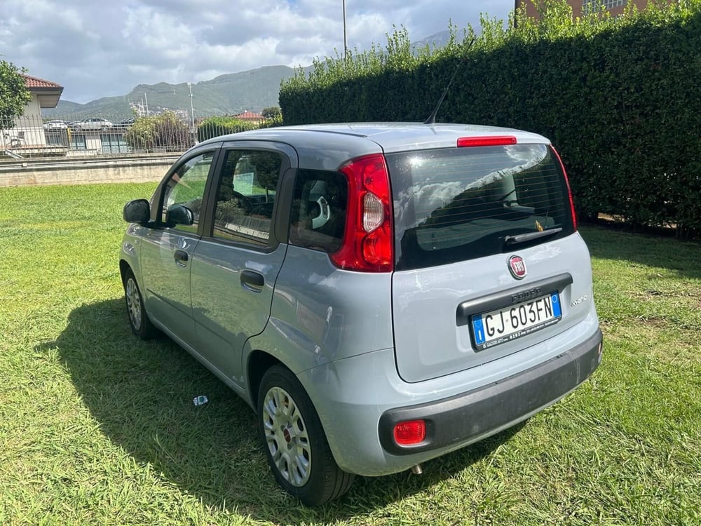 Fiat Panda Cross usata a Salerno (4)
