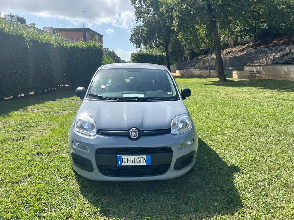 Fiat Panda Cross usata a Salerno (9)