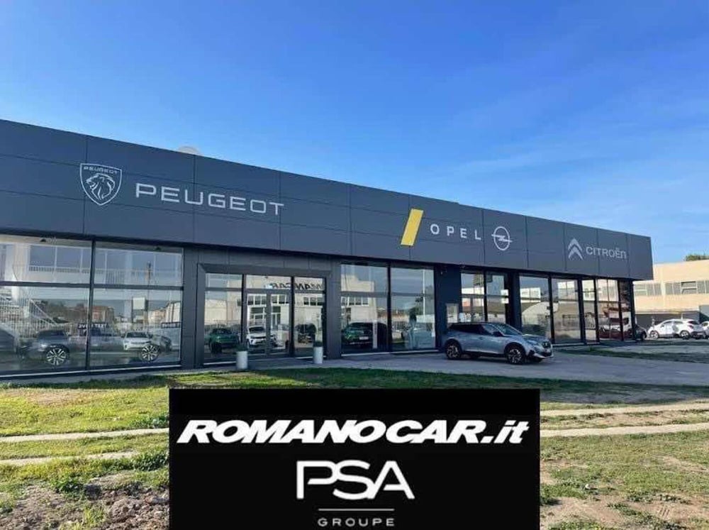 Peugeot 3008 usata a Foggia (5)