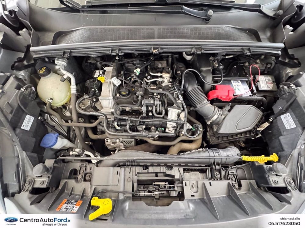 Ford Puma usata a Roma (12)
