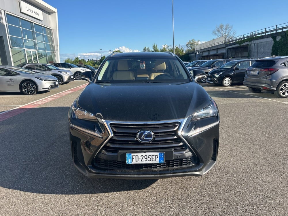 Lexus NX usata a Piacenza (2)