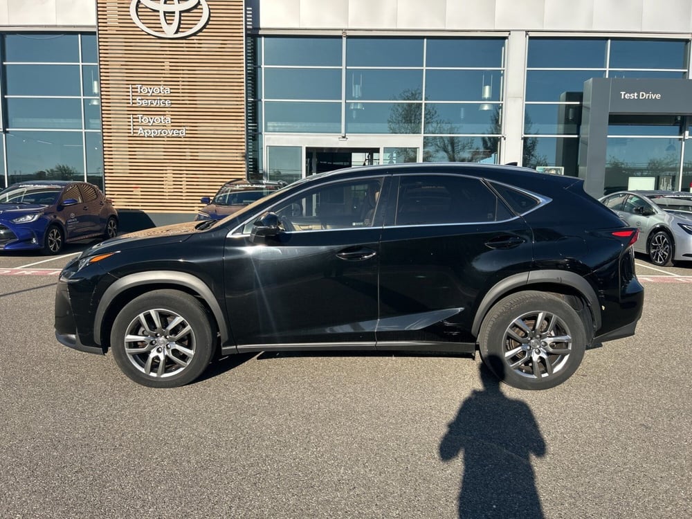 Lexus NX usata a Piacenza (3)