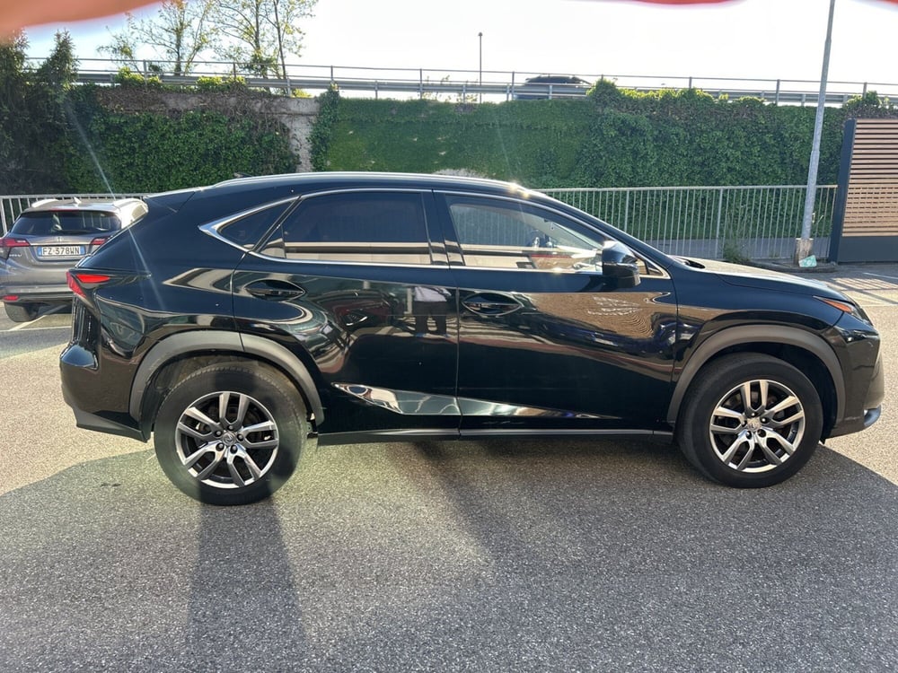 Lexus NX usata a Piacenza (7)