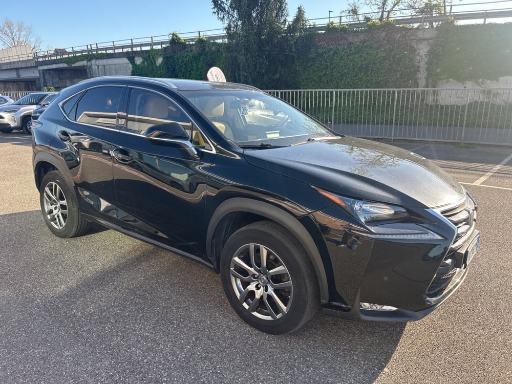 Lexus NX usata a Piacenza (8)