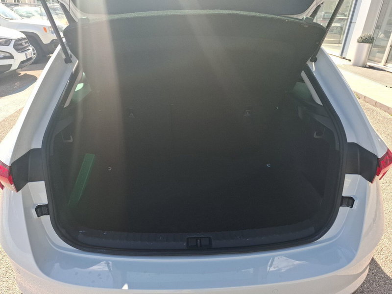 Skoda Scala usata a Ancona (14)