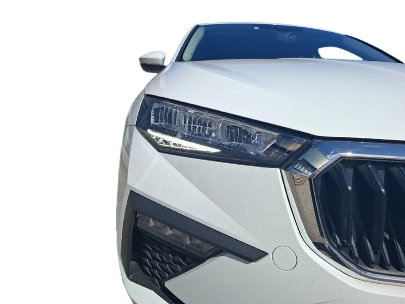 Skoda Scala usata a Ancona (9)