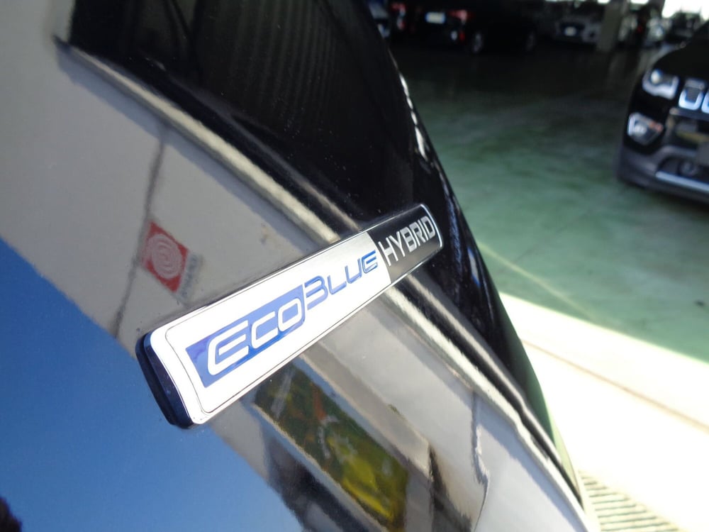 Ford Tourneo Custom usata a Belluno (18)