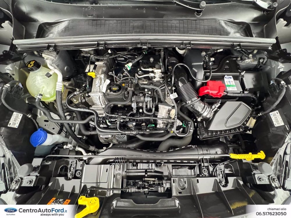 Ford Puma usata a Roma (12)