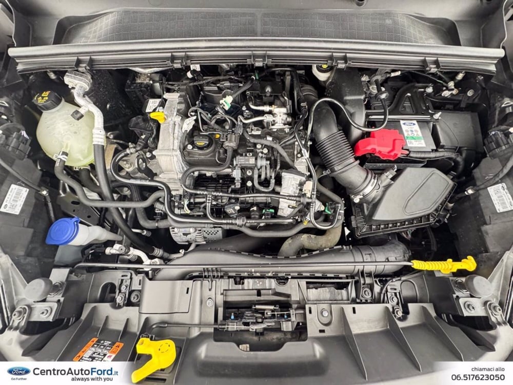 Ford Puma usata a Roma (12)