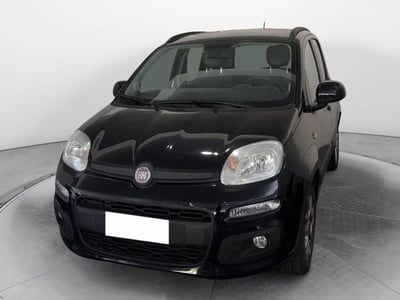 Fiat Panda 1.2 Lounge del 2014 usata a Torino