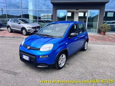Fiat Panda 1.0 firefly hybrid s&amp;s 70cv del 2024 usata a Pieve di Soligo