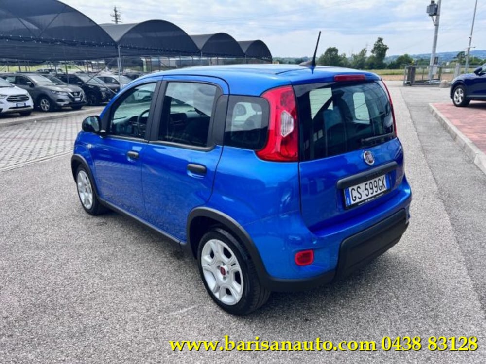 Fiat Panda usata a Treviso (4)