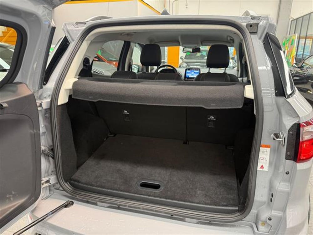 Ford EcoSport usata a Cremona (8)