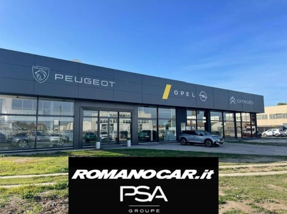 Opel Crossland usata a Foggia (19)