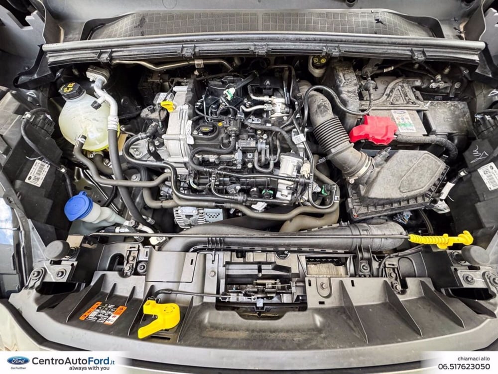 Ford Puma usata a Roma (11)