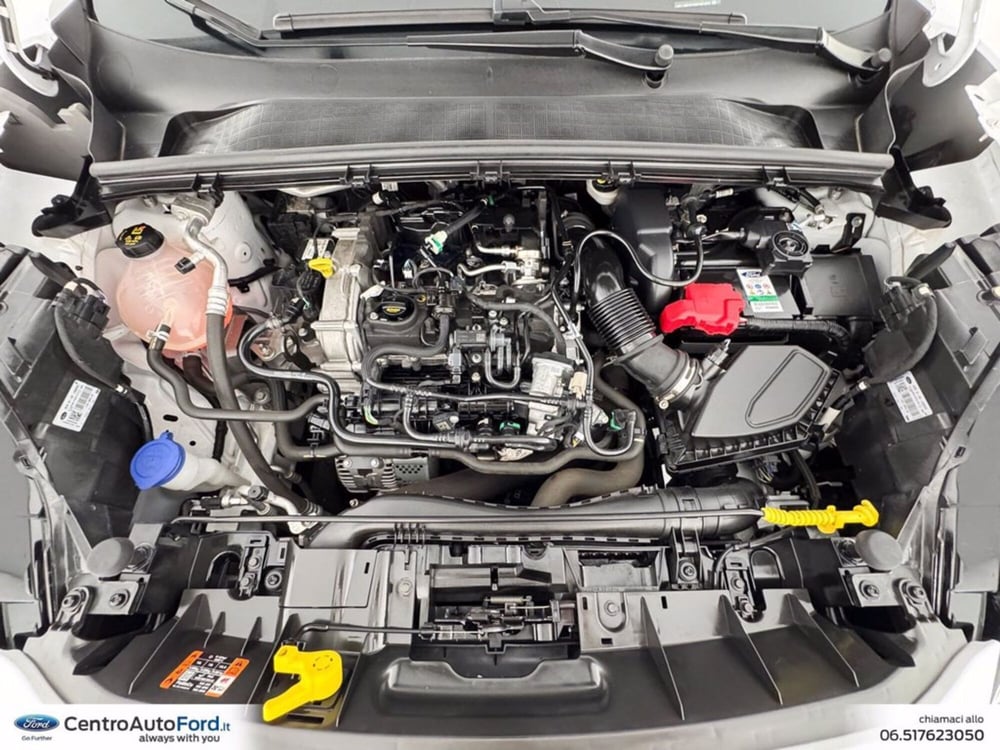 Ford Puma usata a Roma (12)