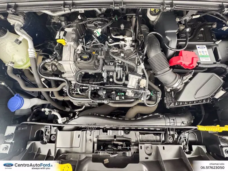 Ford Puma usata a Roma (12)
